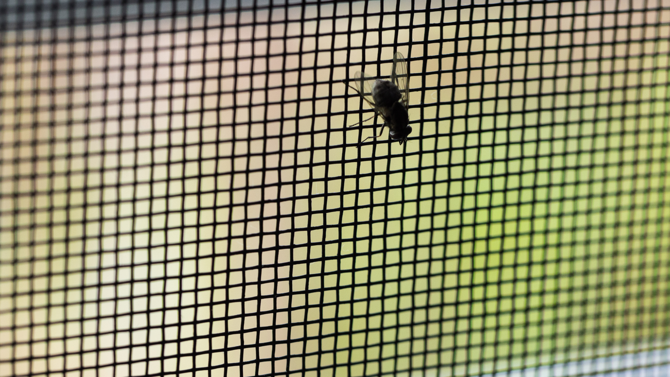 Flyscreen Installation